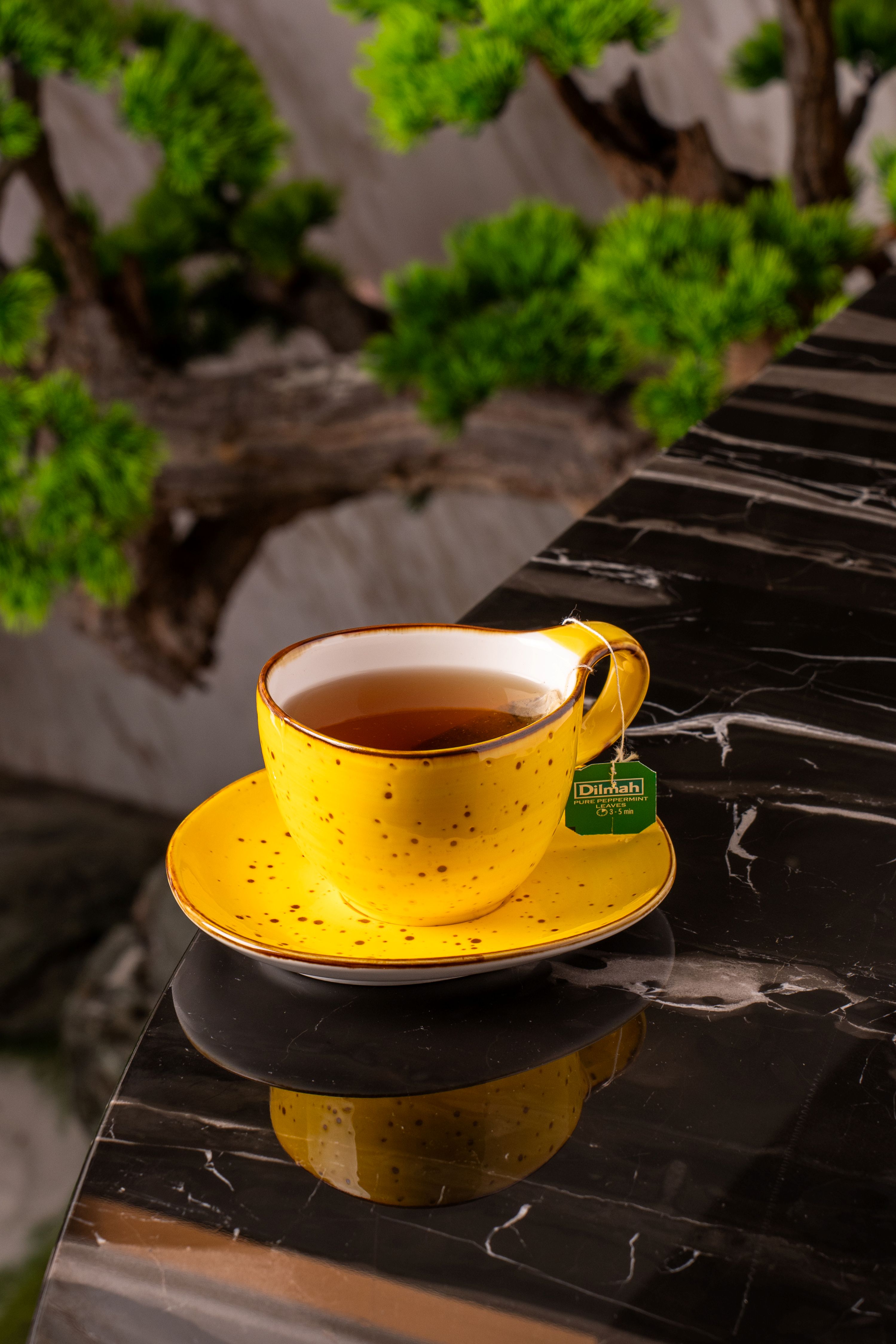 Trà Xanh Bạc Hà Dilmah